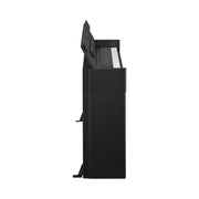 Yamaha ARIUS Slim Series YDP-S55 Digital Piano