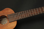 GU-T1 Takamine Tenor Ukulele w/case