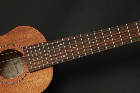 GU-T1 Takamine Tenor Ukulele w/case