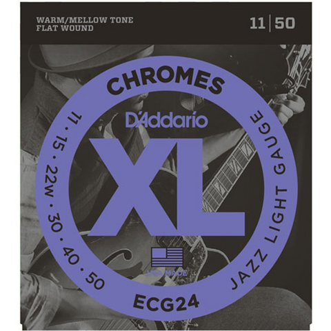 ECG24 D&