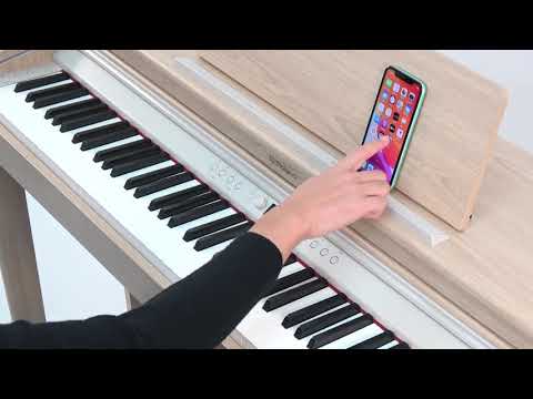 Roland RP701 Digital Piano with Bench
