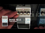 TE-2 BOSS Tera Echo Pedal