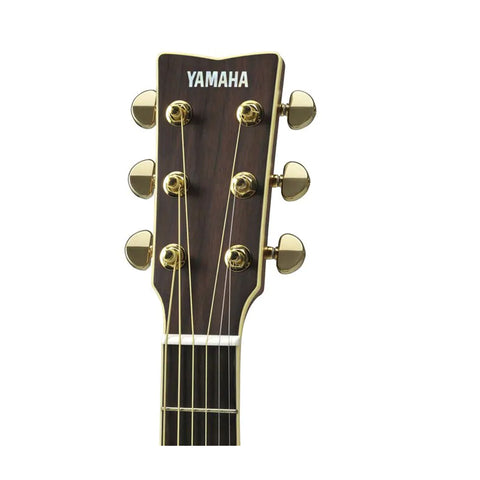 Yamaha L-Series LJ16 ARE Medium Jumbo Acoustic Guitar