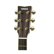 Yamaha L-Series LJ6 ARE Medium Jumbo Acoustic Guitar